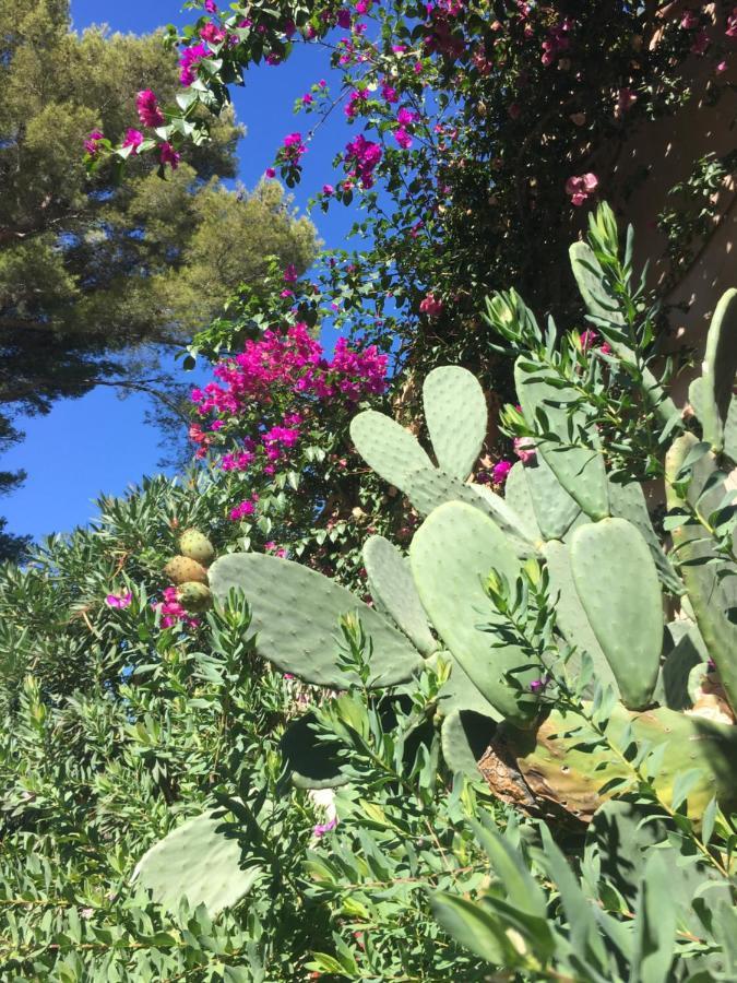 Studio Cosy Proche Mer Saint-Cyr-sur-Mer Bagian luar foto