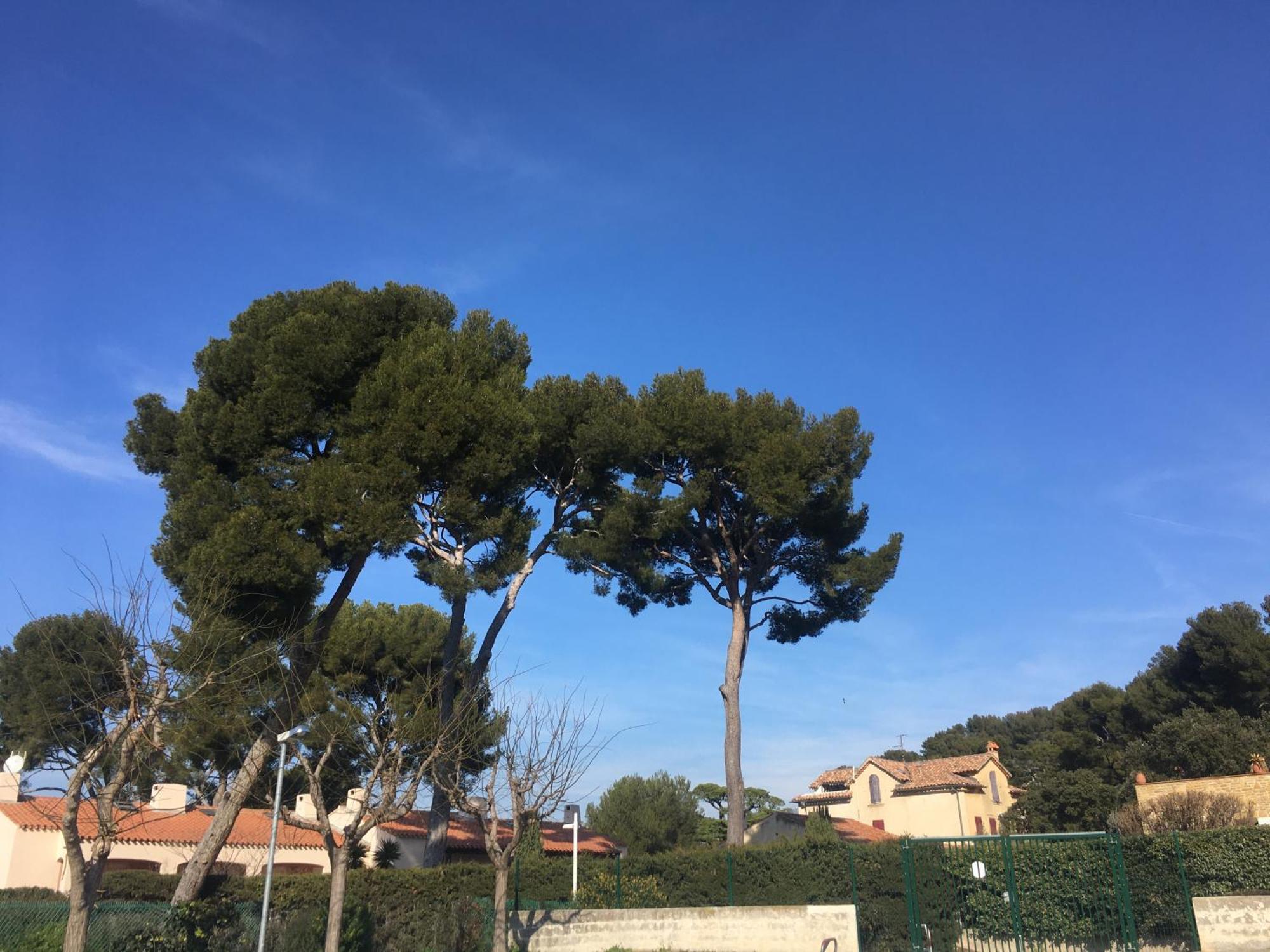 Studio Cosy Proche Mer Saint-Cyr-sur-Mer Bagian luar foto