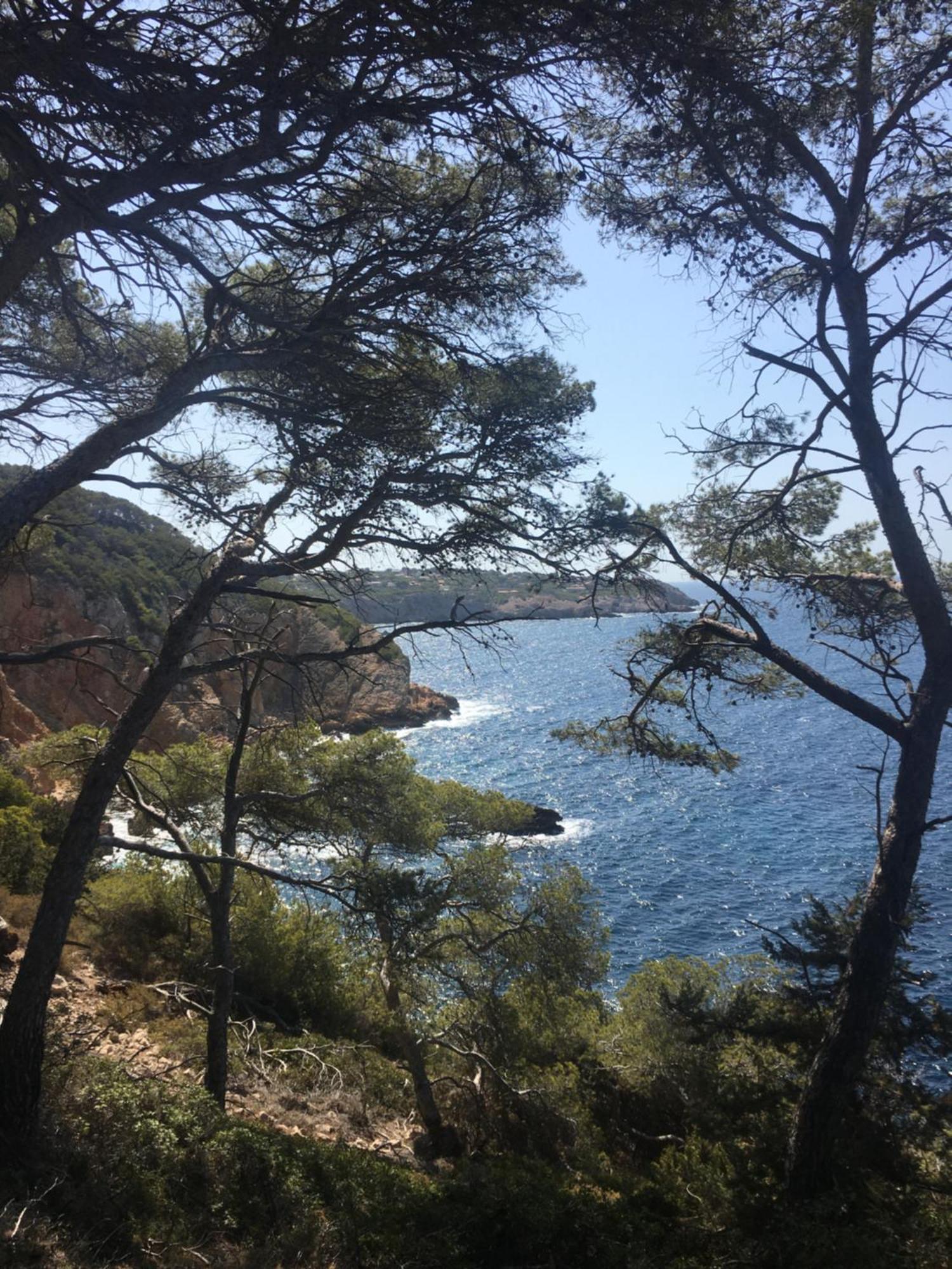 Studio Cosy Proche Mer Saint-Cyr-sur-Mer Bagian luar foto